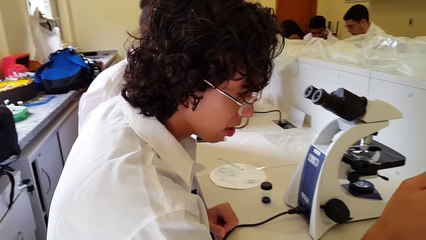 Os cientistas dos RESULTADOS