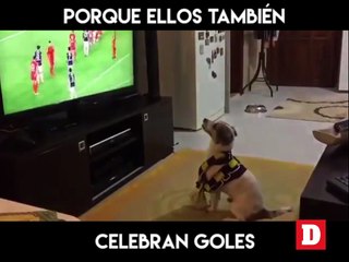 Porque ellos también celebran