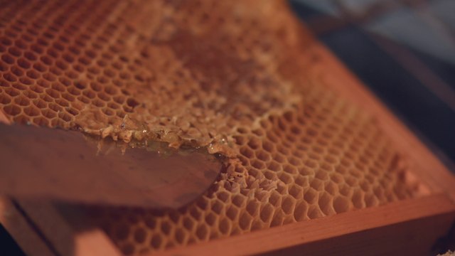 Vivez l'Esprit parc national dans les Ecrins !