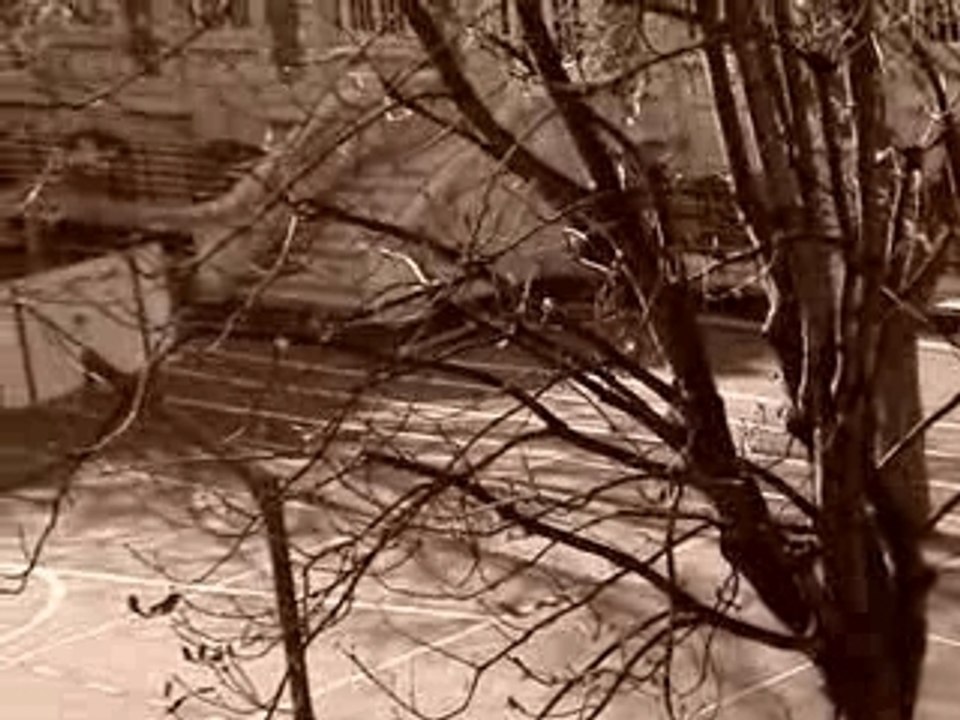 Montage vidéo clip bucolique emilie simon