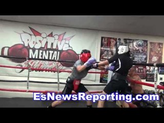 new boxers sparring - EsNews
