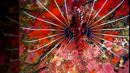 Get your subject to relax 세종오피 오피쓰 opss4.com 세종건마