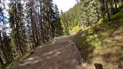 Hot Shots 2016 - New Track Bikepark Leogang by downhill-rangers.com