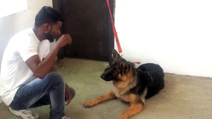 How To Train Your Dog to BARK , S234234werwer in Hindi _ d