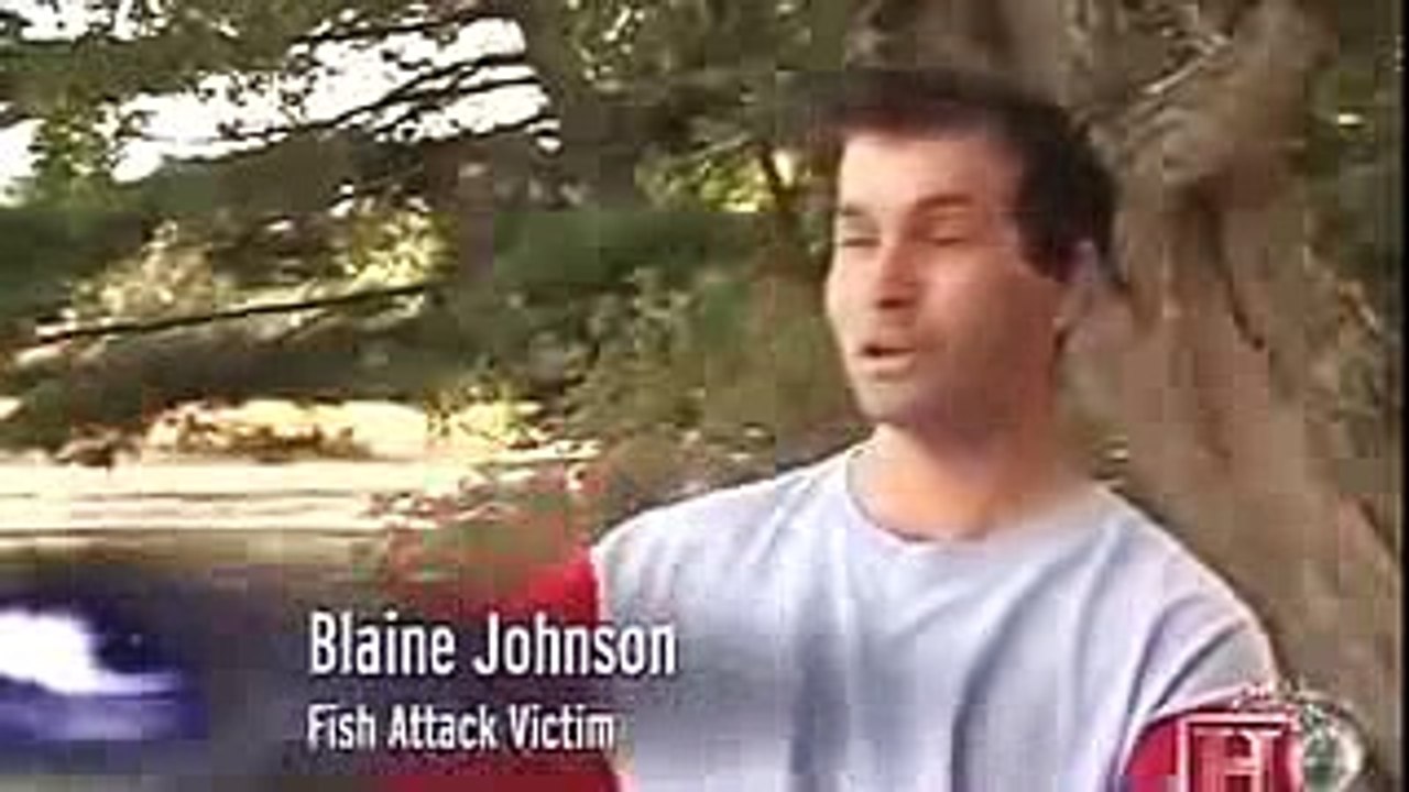 Animal Planet_ Monster Fish