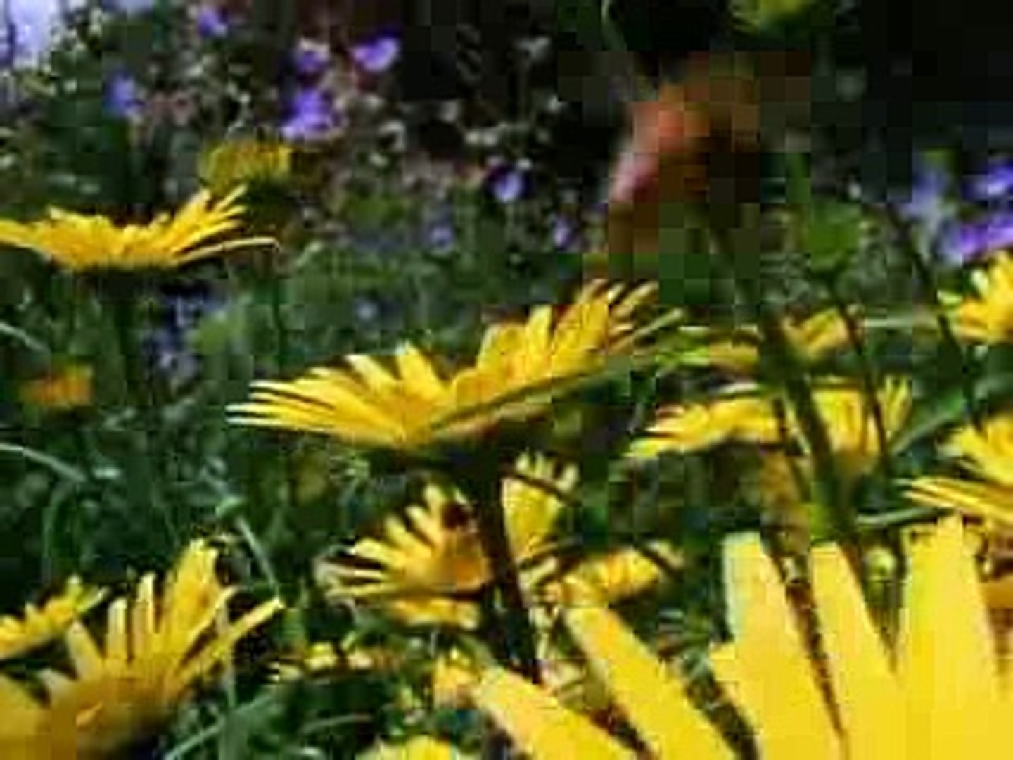 ⁣Animal Planet The top ten most venomous poisonous animals