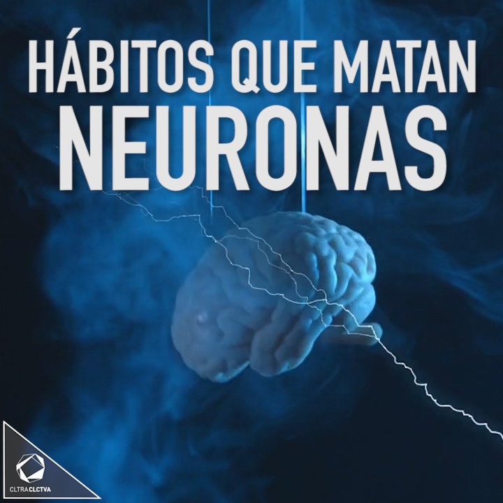 Hábitos que matan neuronas