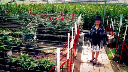 SISA TOAQUIZA   DOS HOGARES (video OFICIAL)