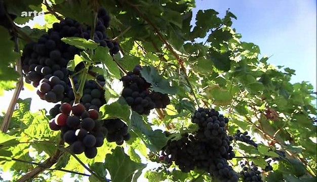 Cap sur le Canada 3-La Colombie Britannique