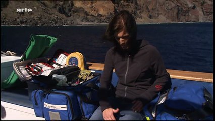 Danse avec les poissons 1-Les requins blancs