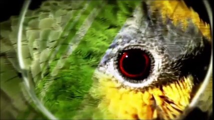 COLOMBIA MEGADIVERSA, Primer Programa - Jueves 8 de junio 2017