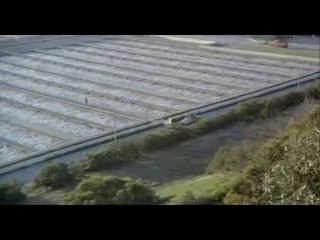 Classic Style and Elegance