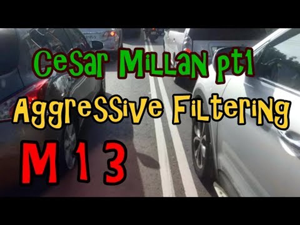 M13's NEW  TAIPEI SERIES with CESAR MILLAN