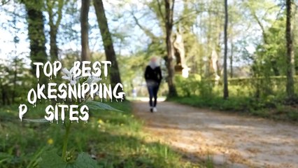 Top Ten Best Poke Snipping Sites To Snipe 100 IV Pokemons