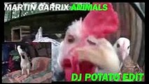 Animal (version Animales de granja) Martin Garrix