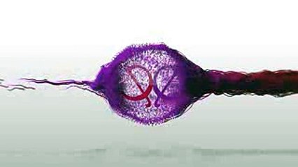 Ishqbaaz Pinky To Gift Cheap Jewelry Set To Anika 9th June 2017