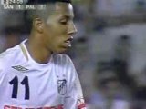 Melhores Momentos de Santos 1 x 1 Palmeiras