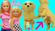 Pregnant BARBIE PUPPY BIRTH!!! Baby Delivery from Dog Goes To Barbie Pet Hospital   Chelsea is Sick