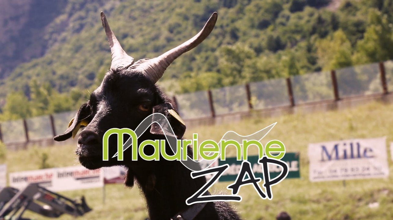 Maurienne Zap # 339