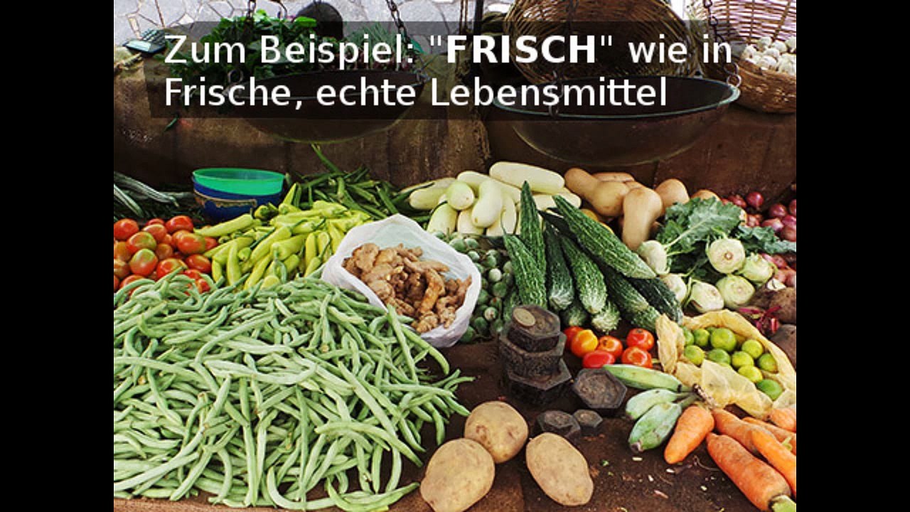 0003 LeiMM - Leipziger Menschenfreunde, Medienproduzenten