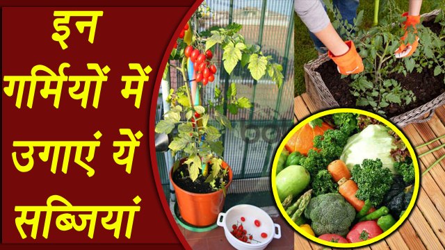 Summer Vegetables to grow in your Garden, घर के गार्डन में उगाएं यें गर्मियों की सब्ज़ियां | Boldsky