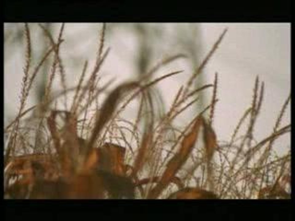 Ive Mendes - Natural High