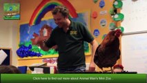 Meet Animal Man Mini Zoo Tea Petting Zoo _ Childrens P