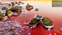 251.Aneh Tapi Nyata, Ada Danau Berwarna Merah Darah di Ukraina