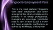 Singapore work passes and work permits for foreigners