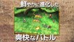 Radiant History Perfect Mythology - Vue d'ensemble du système de combat (en japonais)