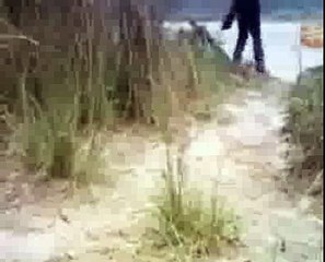 Man Eating Tiger of Nepal BBC Documentary