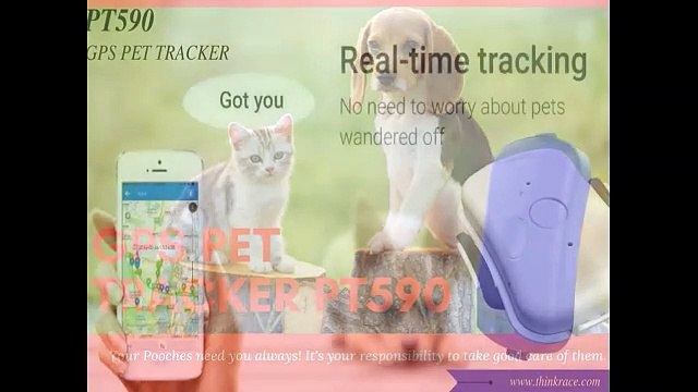 GPS Pets Tracker PT590 || ThinkRace