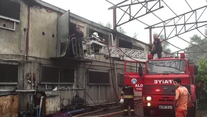 Tavuk Çiftliğinde Yangın