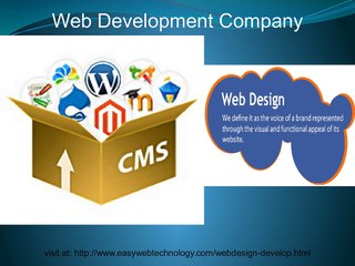 Do you need A Web Design Companies’ Noida?