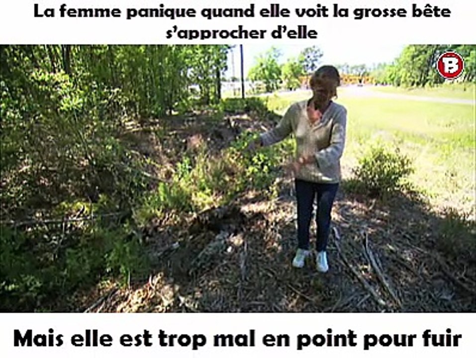 La femme panique quand elle voit la grosse bête s’approcher d’elle. Mais elle est trop mal en point pour fuir.