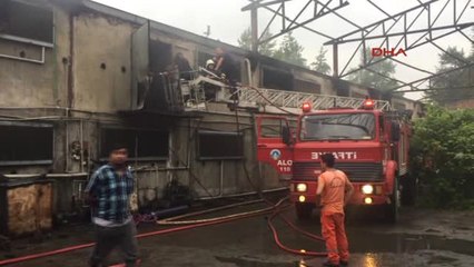 Bartın' da 17 Bin Tavuk Yangında Telef Oldu