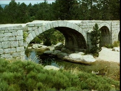 La loutre, frisson de l'onde