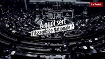 À quoi sert l'Assemblée Nationale ?