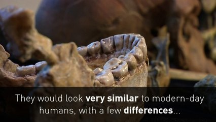 300,000 year old human discovered