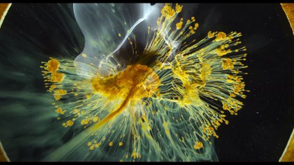 Voyage of time de Terrence Malick - bande-annonce