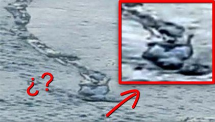 GRABAN UNA GIGANTESCA CRIATURA EN UN LAGO DE ISLANDIA