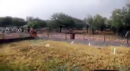 Zot na Ruaj nga Cdo e Keqe