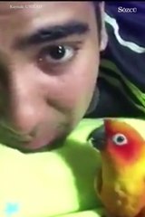 Ritim hassasiyeti müzisyenleri aratmayan papağan