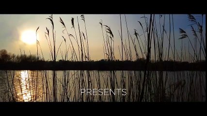 Samsung Galaxy S7 Camera Test (4K Cinematic)