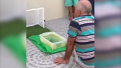 Incroyable, il a dressé son poisson pour qu'il marque des buts