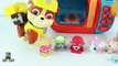 PATRULHA CANINA LEARS PAW PATROL MICROOWAVE MAGICAL TOYS SURPRISES BEST LEARNING