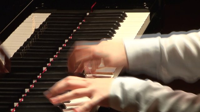 Schumann : Sonate n° 1 en fa dièse mineur op. 11 - finale - Dimitri Malignan