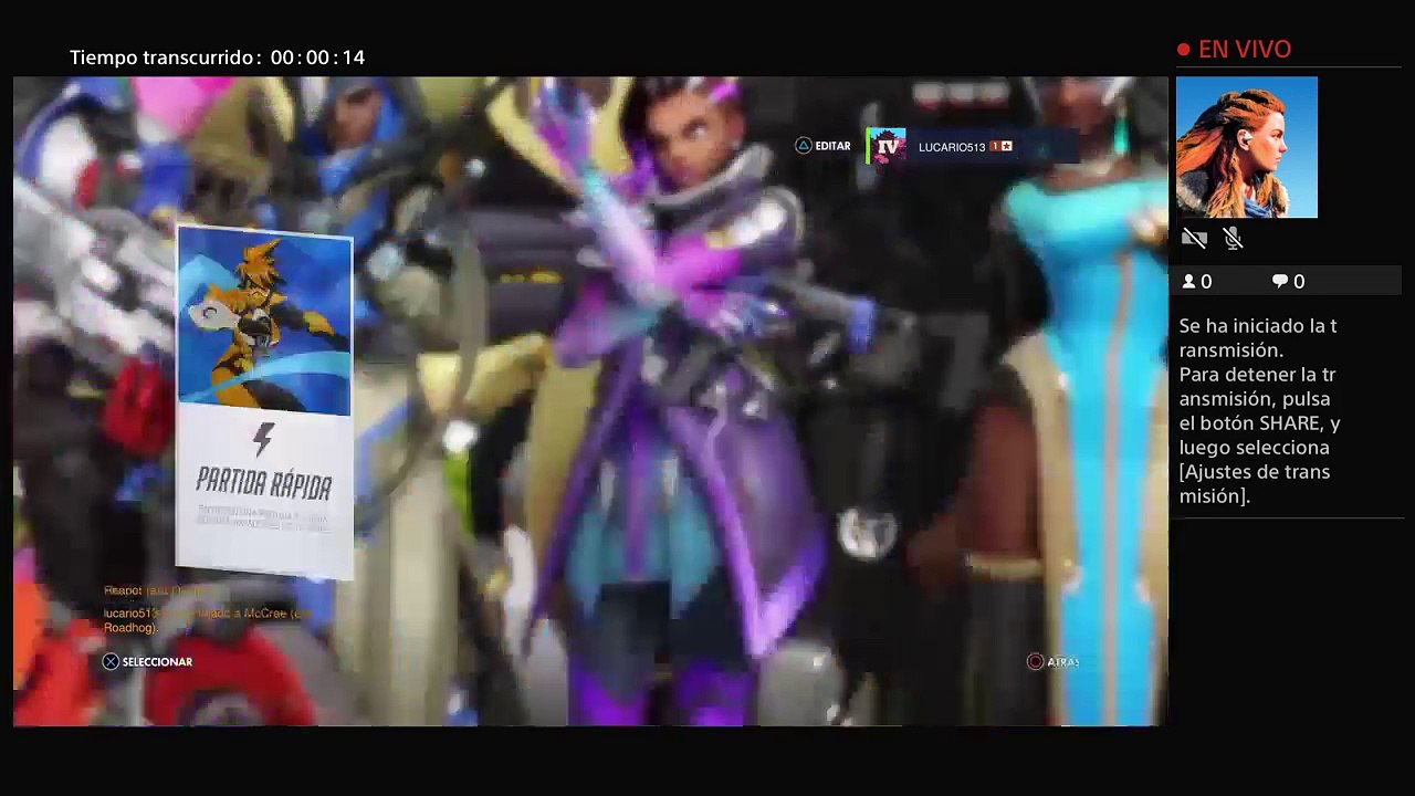 Overwatch: Pasive Mod