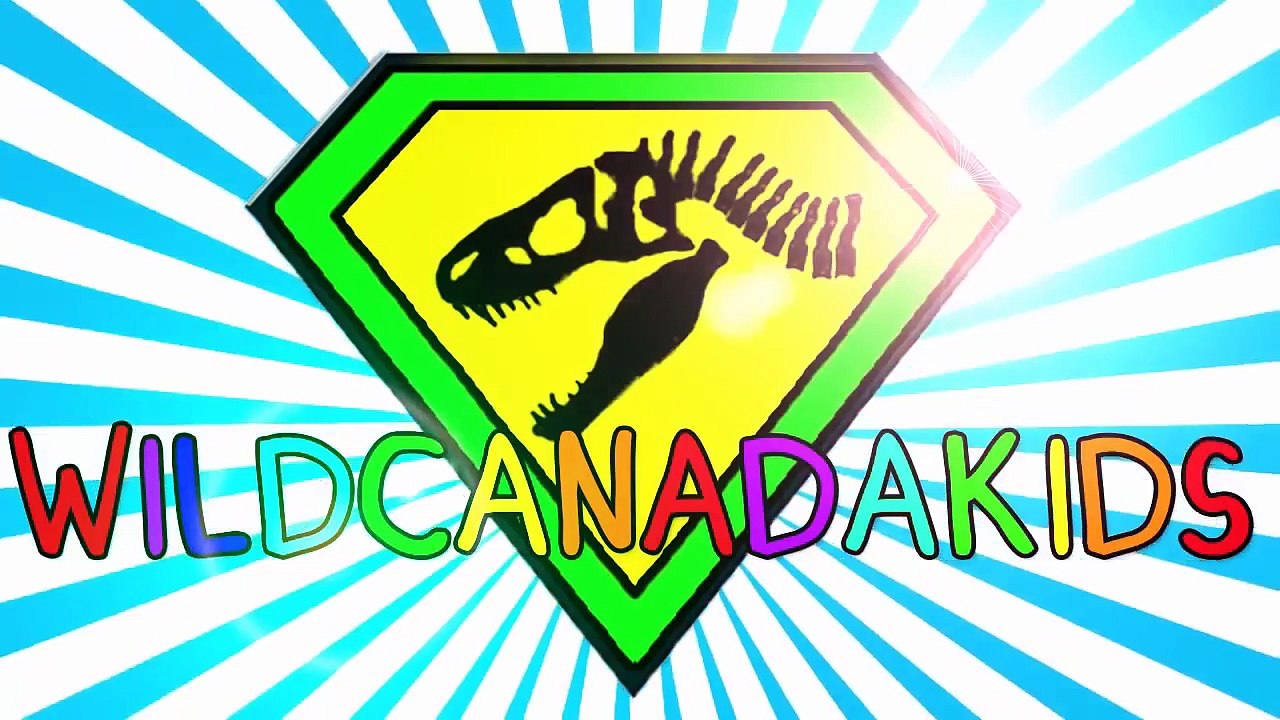 Finger Family Song! NINJA TURTLES Finger Family Teenage Mutant Ninja Turtles Finger Family Song by,Animated cartoons 2017