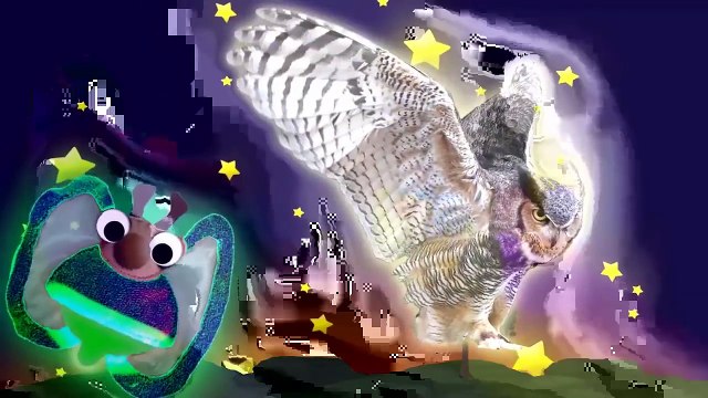 Finger Family Collection - 15 Finger Family Nursery Rhymes! Animal Finger Family Collection by KS,Animated cartoons 2017